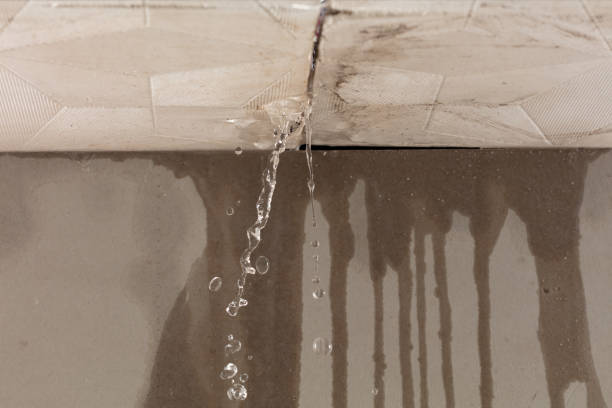 Professional Water Damage Inspection technician working in Losantville, IN
